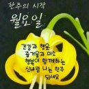 동네지게차