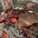 동궁과월지 화장실 | 경주 3박 4일 일정 3일차(2)｜황리단길 저녁 · 밤 산책 · 동궁과 월지 야경 솔직 후기