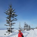 홋카이도 이미지