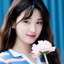 미래행정사 이미지