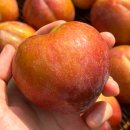 주희농장 이미지