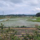 반촌2리마을회관 이미지