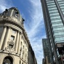 하얀장갑 이미지