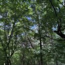세심정 | [25.08.19-20] 충북 보은 속리산 법주사 템플스테이