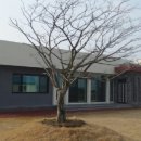 구엄리용삼네 민박 이미지