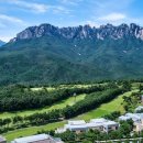 대명 인터내셔널 이미지