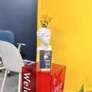 상남동163 이미지