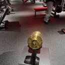 라이트 GYM | 프리미엄 머신 독일 GYM80 사용후기 Feat 라이트짐