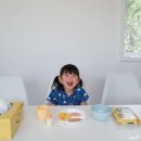 팜더랑