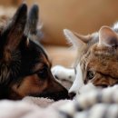 몽글몽글 이미지