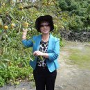 영창초등학교 이미지