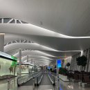 상업용 75 | 75일차 : 맨땅에 헤딩하기(일본 임장 후기)