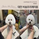 Pet salon 이미지