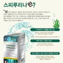 다온씨엠씨