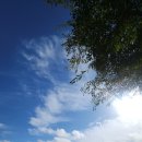 정선 나들이 - 시장 구경 &amp; 곤드레 정식 한 상 (2025년 10월 19일) 이미지