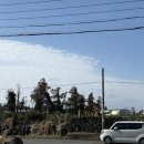 한림반점 | 제주 로컬맛집 도민 추천 짬뽕 한림 중국집 : 명월반점