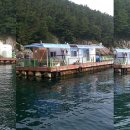 사량도 바다낚시터 이미지