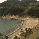 해금강펜션 이미지