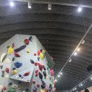 오늘의강아지 이미지