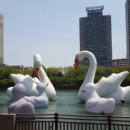 (주)브라보헬스 이미지