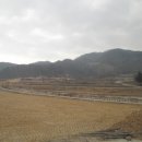 청성초등학교 이미지