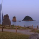 꽃지사랑 이미지