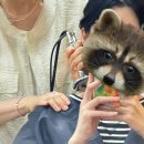 두피연구소(S.lab) 이미지