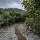 자연의쉼터 | [울산 북구 힐링 명소] 자연 속 쉼터! ‘나무야 나무야’ 카페 솔직 후기