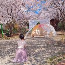 그린로즈 이미지