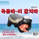 김포·인천공항서 승객 몸무게 잰다…대한항공, 항공기 무게·중량 배분 적용 이미지