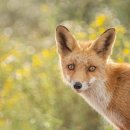 샛별노래연습장 이미지