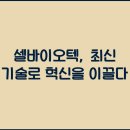 텍 이미지