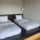 제주도 애월 감성 숙소 독채 펜션 사계연화 B 내돈내산 숙박 후기