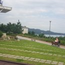 더원 행정사사무소 이미지