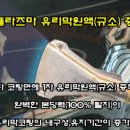 프라임마켄동해 이미지