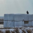 김신환동물병원 이미지