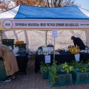 새울길영농조합법인 이미지