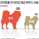 한방세상 한국경제