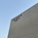 참소프트 | 신라모노그램 강릉 더 그로브테이블 맛집 - 피쉬 컬쳐, 라이프 오브 소프트 내돈내산 후기