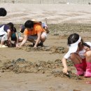 브론즈펜션 이미지