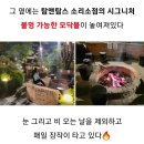 심야데이트하기 좋은 남양주 심야카페 이미지