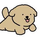 퍼피트랙 이미지