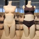 휠라언더웨어 이미지