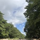 쌍곡예당야영장 이미지