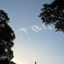 김진수농장 | 호주 워킹홀리데이, 일자리, 후기-1년8개월의 호주극복기