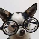 안경크리닉 이미지