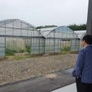 (주)씨드바이오 네이버블로그