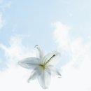바람내음 이미지