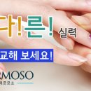 네일에르모소 이미지