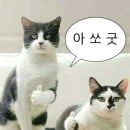 카페. 나른 이미지